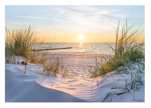 Фототапет ЗА ХОЛ 3D Beach Sea Dunes 368x254