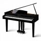  Kawai DG 30 gloss black - дигитално пиано