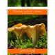  Мицел Chanterelle mycorrhiza