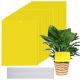  Sticky Wholesale Prima sticky potted yellow 10 бр.