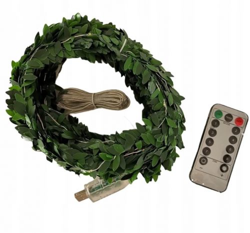  USB гирляндна лампа Boxwood Rope Led 100 leaves