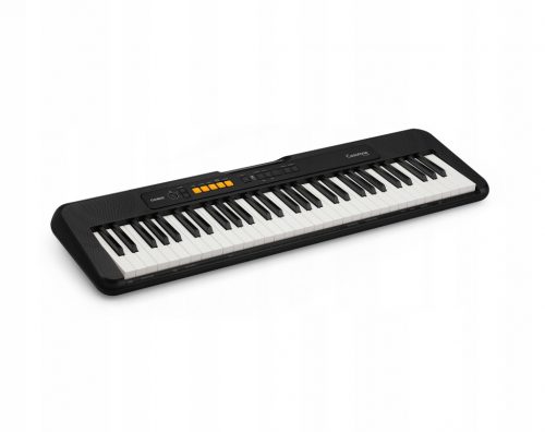  Клавиатура Casio CT-S100