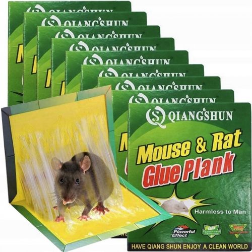  10x BUZZRAP LEP PAW MOUSETRAP RATS