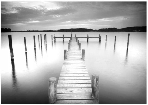 Фототапет bridge in the fog jetty lake 368 x 254 2655V8