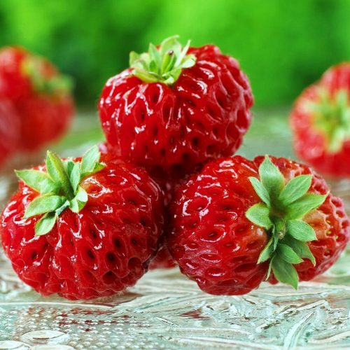  Горски ягоди и ягоди МАЛИНА ЯГОДА FRAMBERRY 10 РАЗСЪДА VERY SWEET разсад на гол корен 10-20см