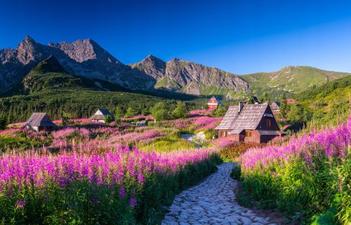 ФОТОТАПЕТ ЗА СПАЛНЯ,ХОЛ,ЗАЛА GASIENICOWA TATRAS ТАПЕТ СТЕНА 390x254