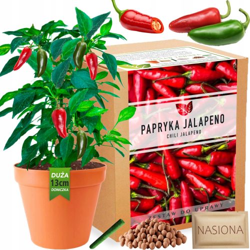  Семена от комплект за отглеждане на пипер Jalapeno Chili Pepper XXL