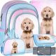  Ученическа раница с много отделения DOG CUTIES Starpak Shades of blue, Shades of pink, Multicolor 23 l + 3 други продукта