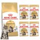  Royal Canin Maine Coon Adult суха храна за котки 0.4 кг + мокра 4x85гр